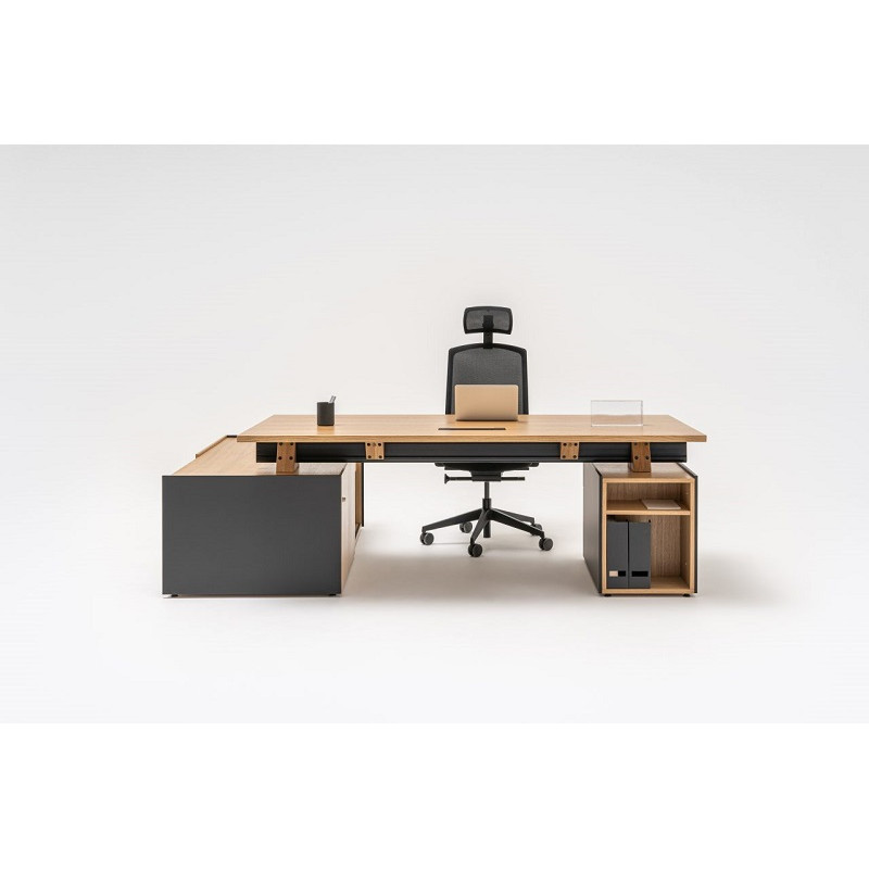 VIGA EJECUTIVO con armario lateral