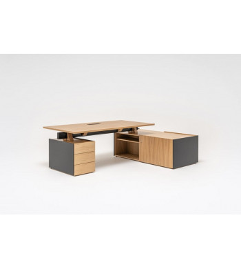 VIGA EJECUTIVO con armario lateral