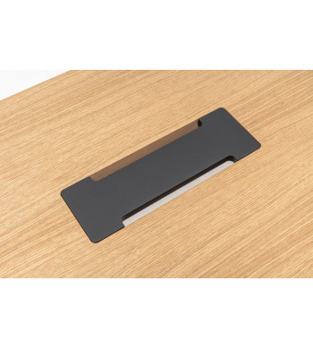 VIGA EJECUTIVO con armario lateral