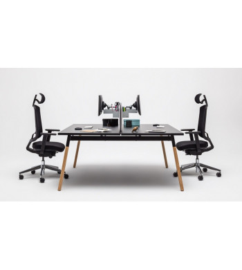 LINEA OGI PUESTO DOBLE