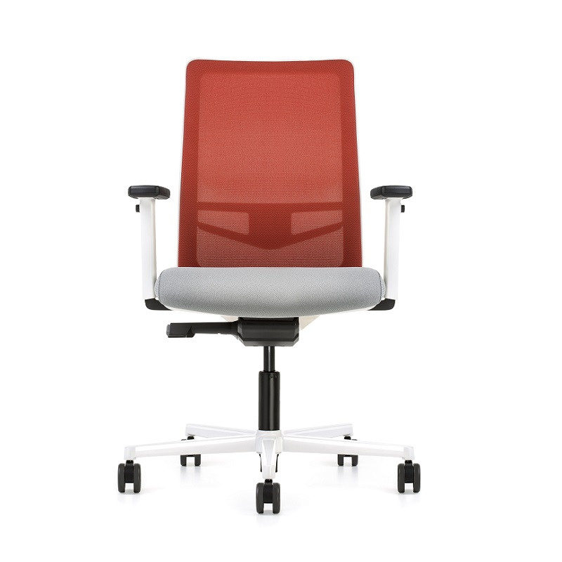 EQUIS 24h ESTRUCTURA BLANCA