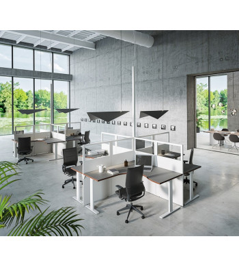 LIENEA EIDOS PRO SPACE